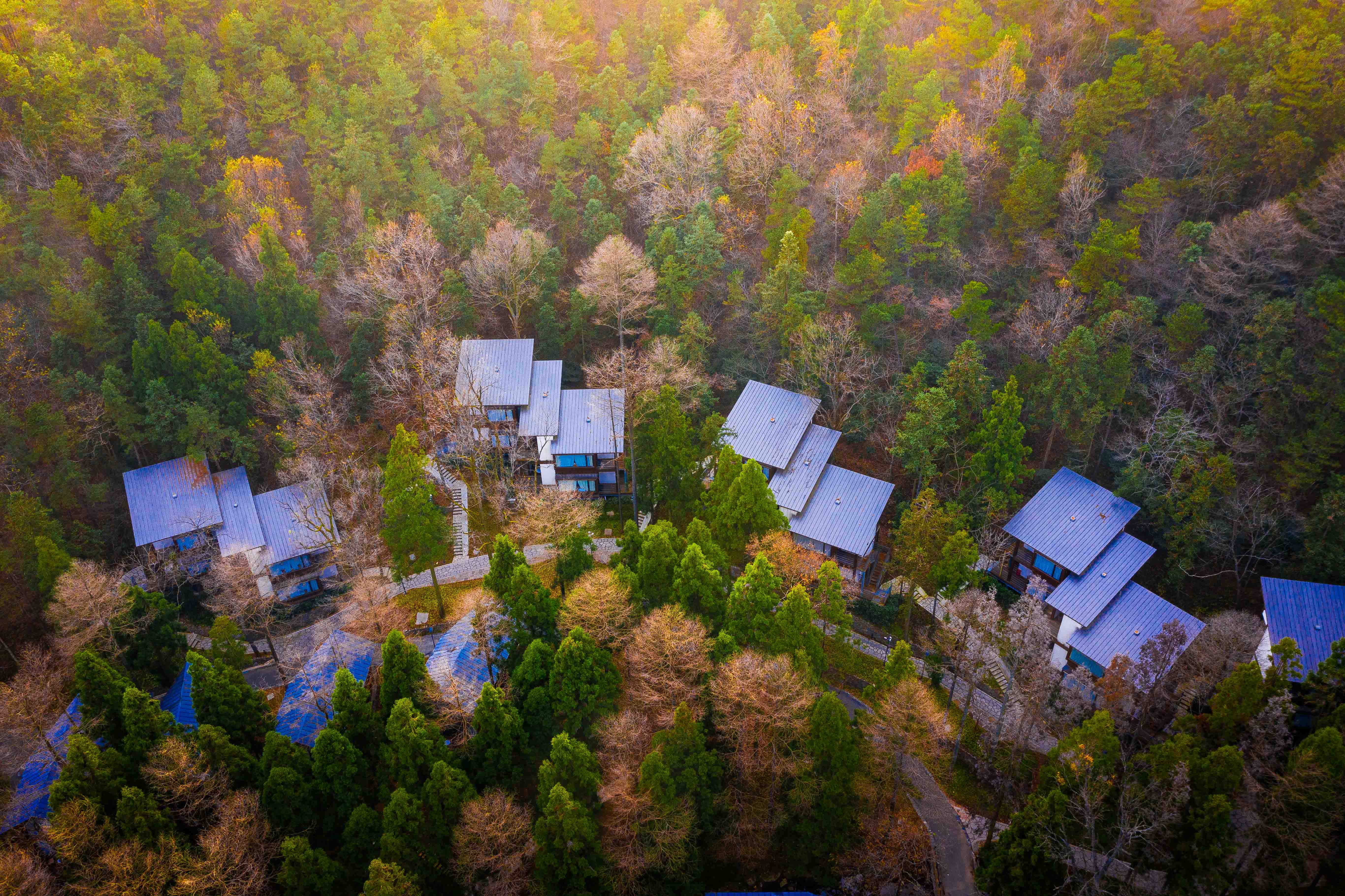 DJI_0447 DJI_0447